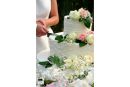 fotografo matrimonio
