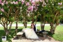 fotografo matrimonio