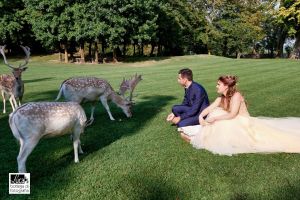 fotografo matrimonio